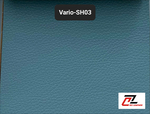 Da Vario />
                                                 		<script>
                                                            var modal = document.getElementById(